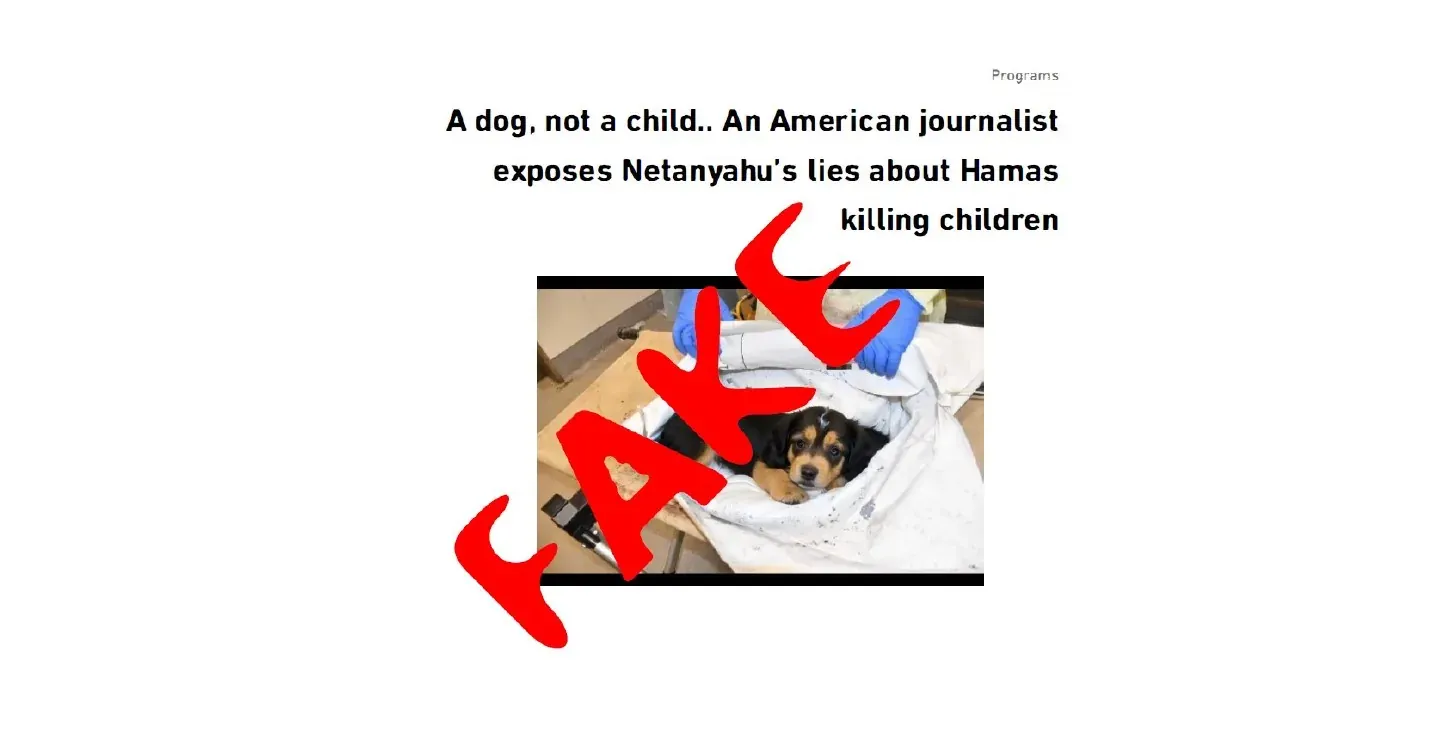 Aljazeera Fake News Investigation: Burned babies and an AI generated dog