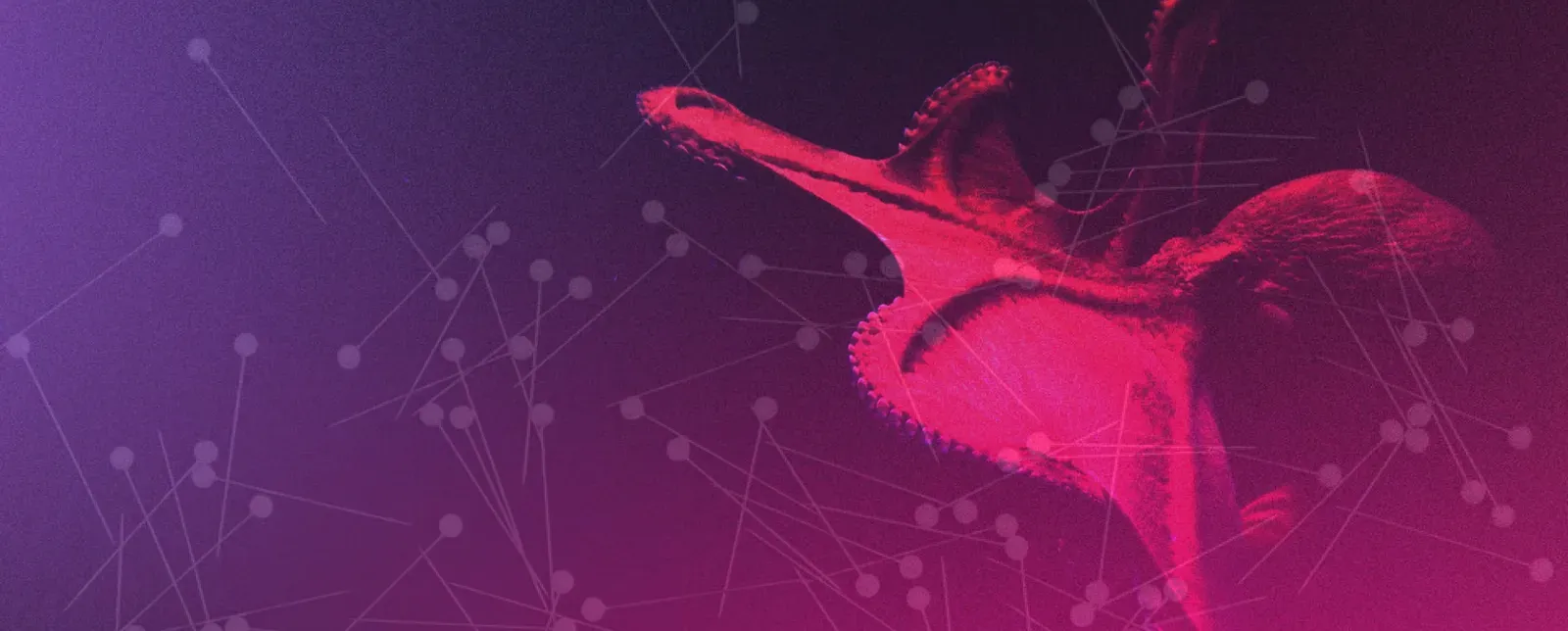 Adversarial Octopus attack demo cover for AI-driven facial recognition