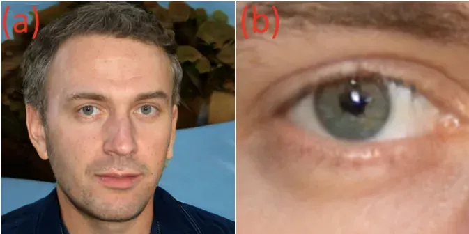 Best of Adversarial ML Week 35 Pupil shapes reveal GAN generated faces